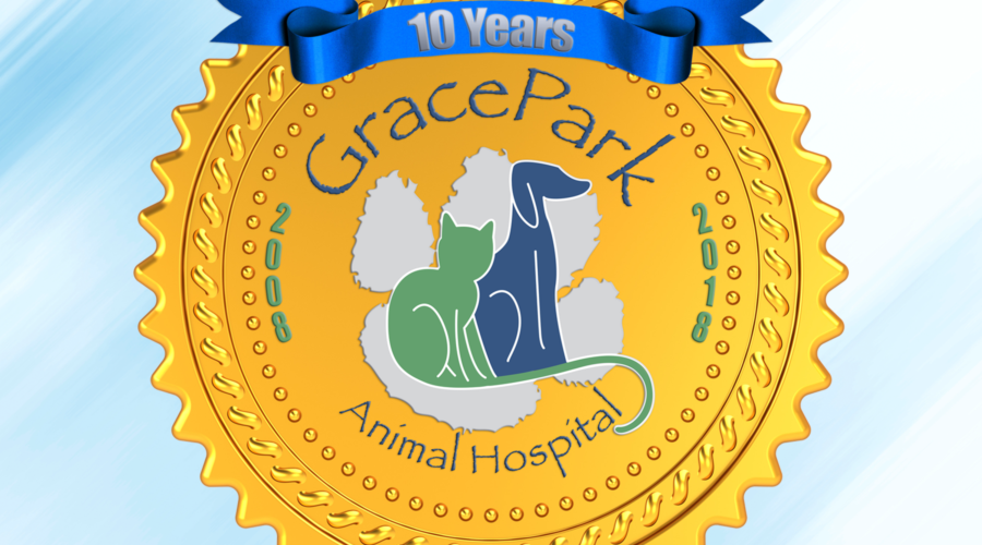 Grace Park Animal Hospital Is Turning 10!