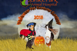 Grace Park Animal Hospital’s 2018 Halloween Pet Costume Contest!