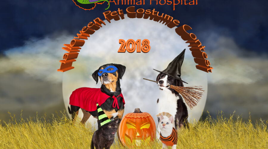 Grace Park Animal Hospital’s 2018 Halloween Pet Costume Contest!