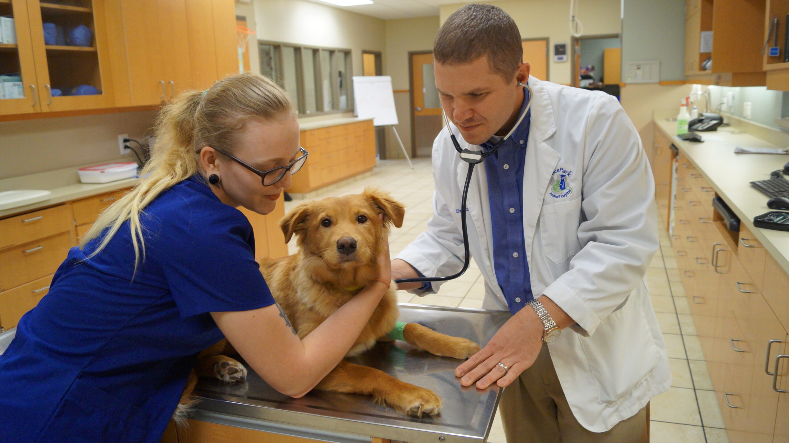 Grace Park Animal Hospital | Animal Hospital | Cary, NC